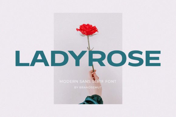 Why Ladyrose Is the Perfect Modern Sans Serif for Editorial Design